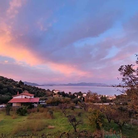 Ολόκληρος Όροφος Αγροτική Οικία Apartment Neos Pirgos Ngoại thất bức ảnh