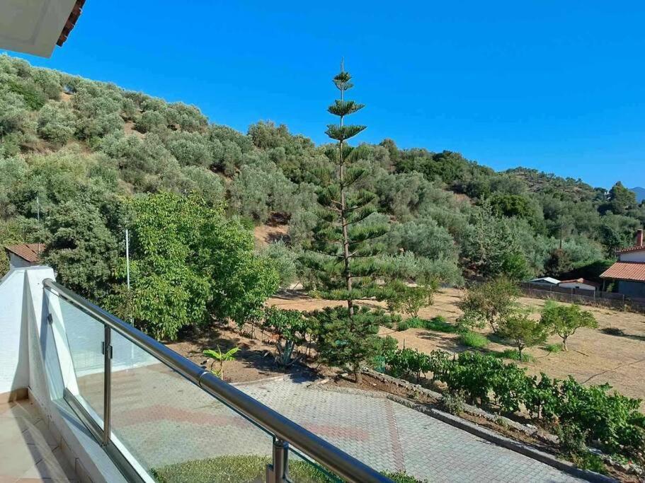 Ολόκληρος Όροφος Αγροτική Οικία Apartment Neos Pirgos Ngoại thất bức ảnh