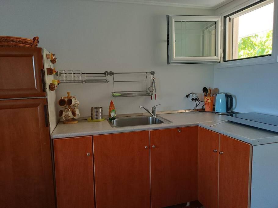 Ολόκληρος Όροφος Αγροτική Οικία Apartment Neos Pirgos Ngoại thất bức ảnh