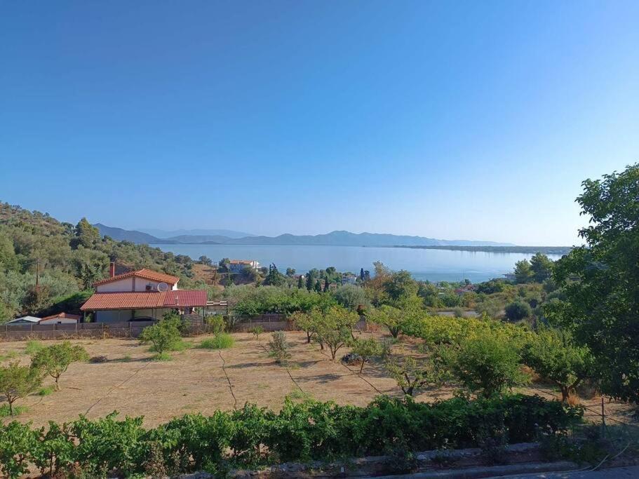 Ολόκληρος Όροφος Αγροτική Οικία Apartment Neos Pirgos Ngoại thất bức ảnh