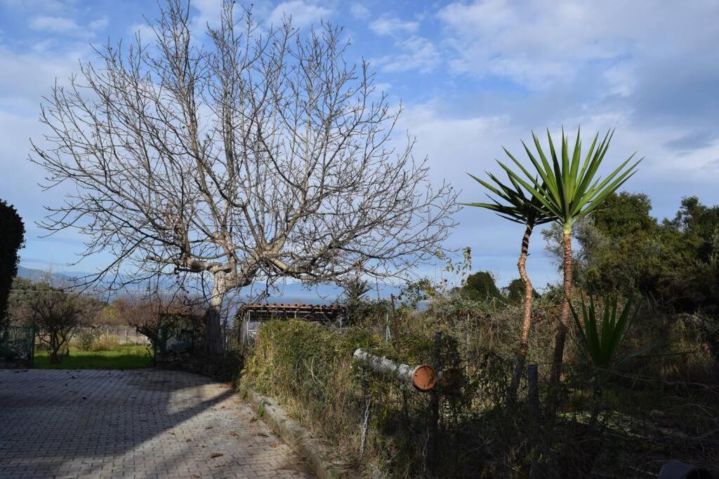 Ολόκληρος Όροφος Αγροτική Οικία Apartment Neos Pirgos Ngoại thất bức ảnh