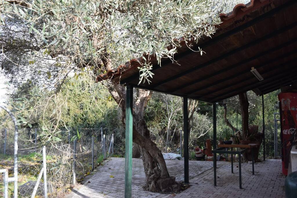 Ολόκληρος Όροφος Αγροτική Οικία Apartment Neos Pirgos Ngoại thất bức ảnh