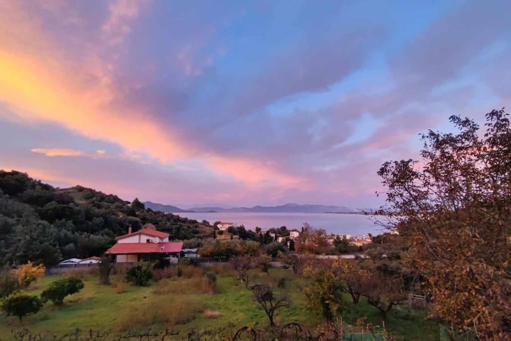 Ολόκληρος Όροφος Αγροτική Οικία Apartment Neos Pirgos Ngoại thất bức ảnh